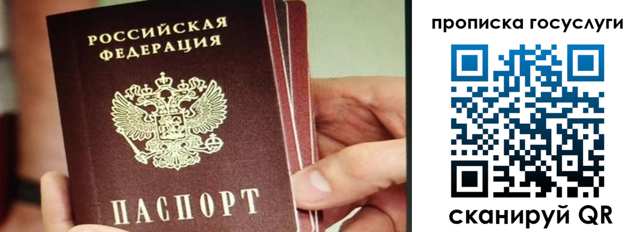 пропишу в квартире в Павлово
